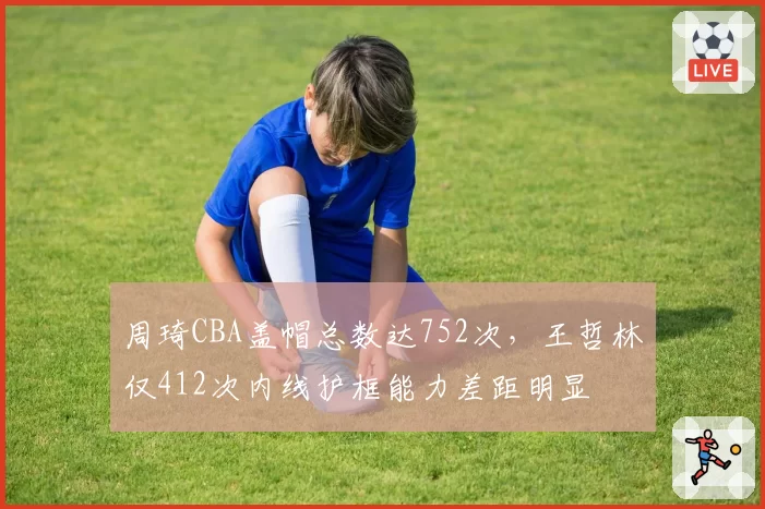 周琦CBA盖帽总数达752次，王哲林仅412次内线护框能力差距明显