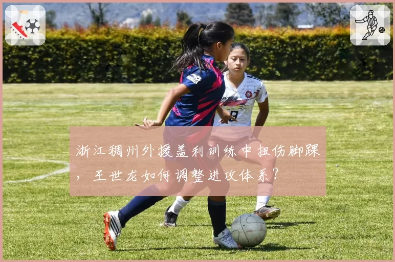 浙江稠州外援盖利训练中扭伤脚踝,王世龙如何调整进攻体系?
